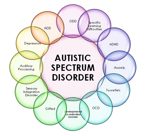 An infographic showing other conditions that may accompany an ASD diagnosis.